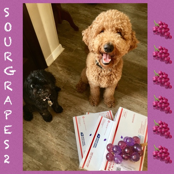 🍇Add your likes to a bundle for a discount! - Picture 6 of 7